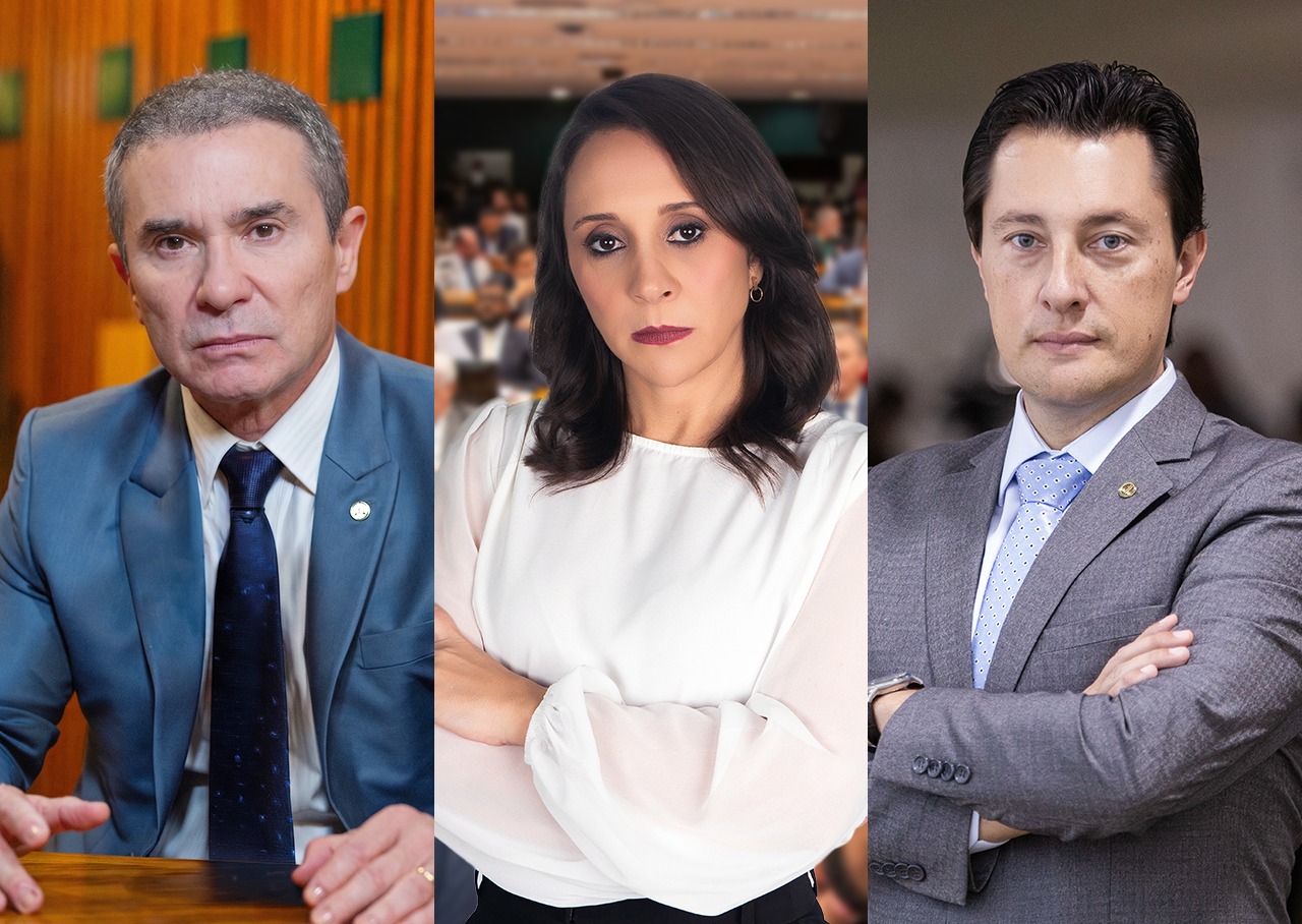 Projeto de Lei cria Política Nacional para fortalecer a proteção animal